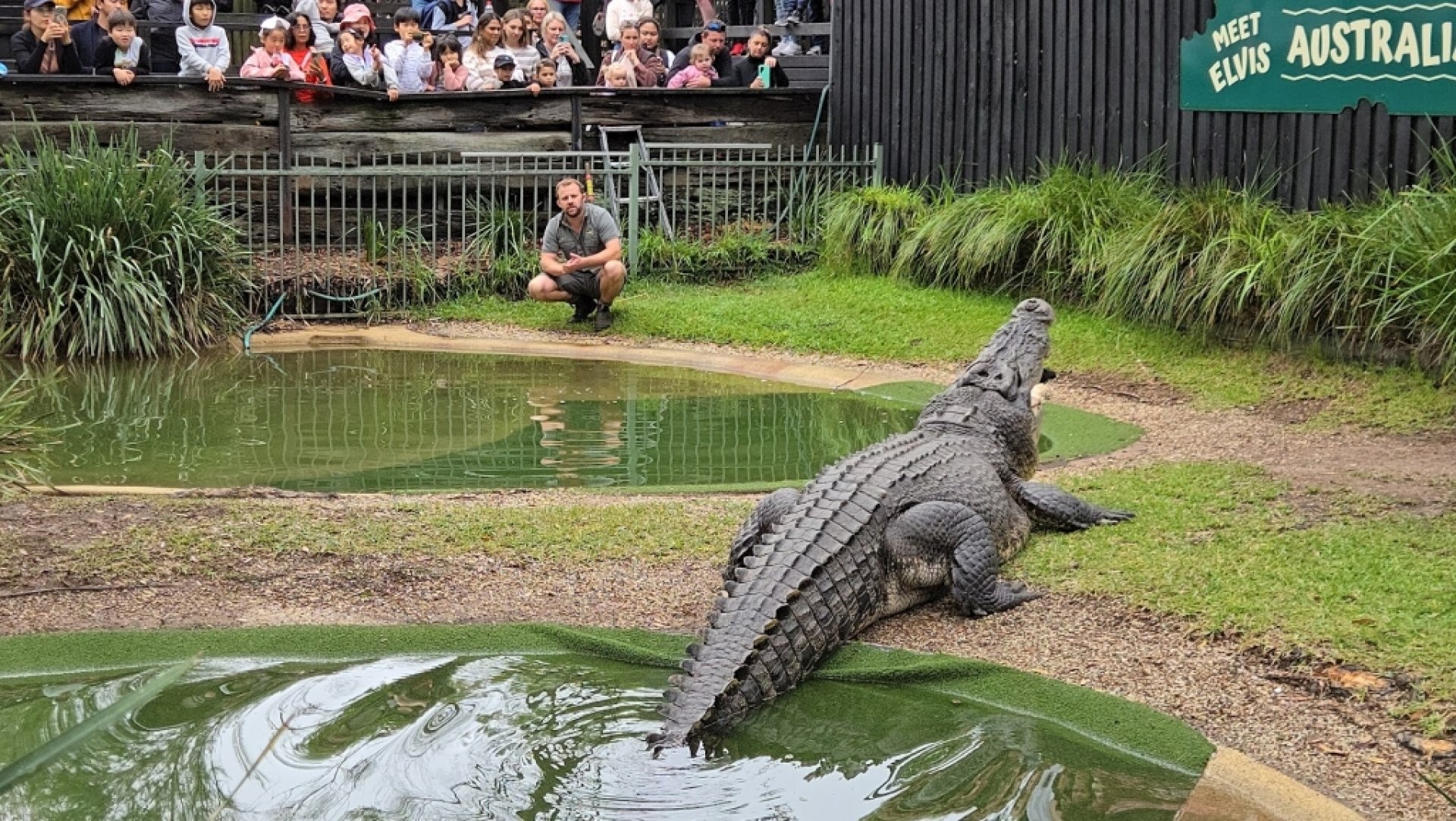 Australian Reptile Park, Sydney: Information, Tickets and Reviews