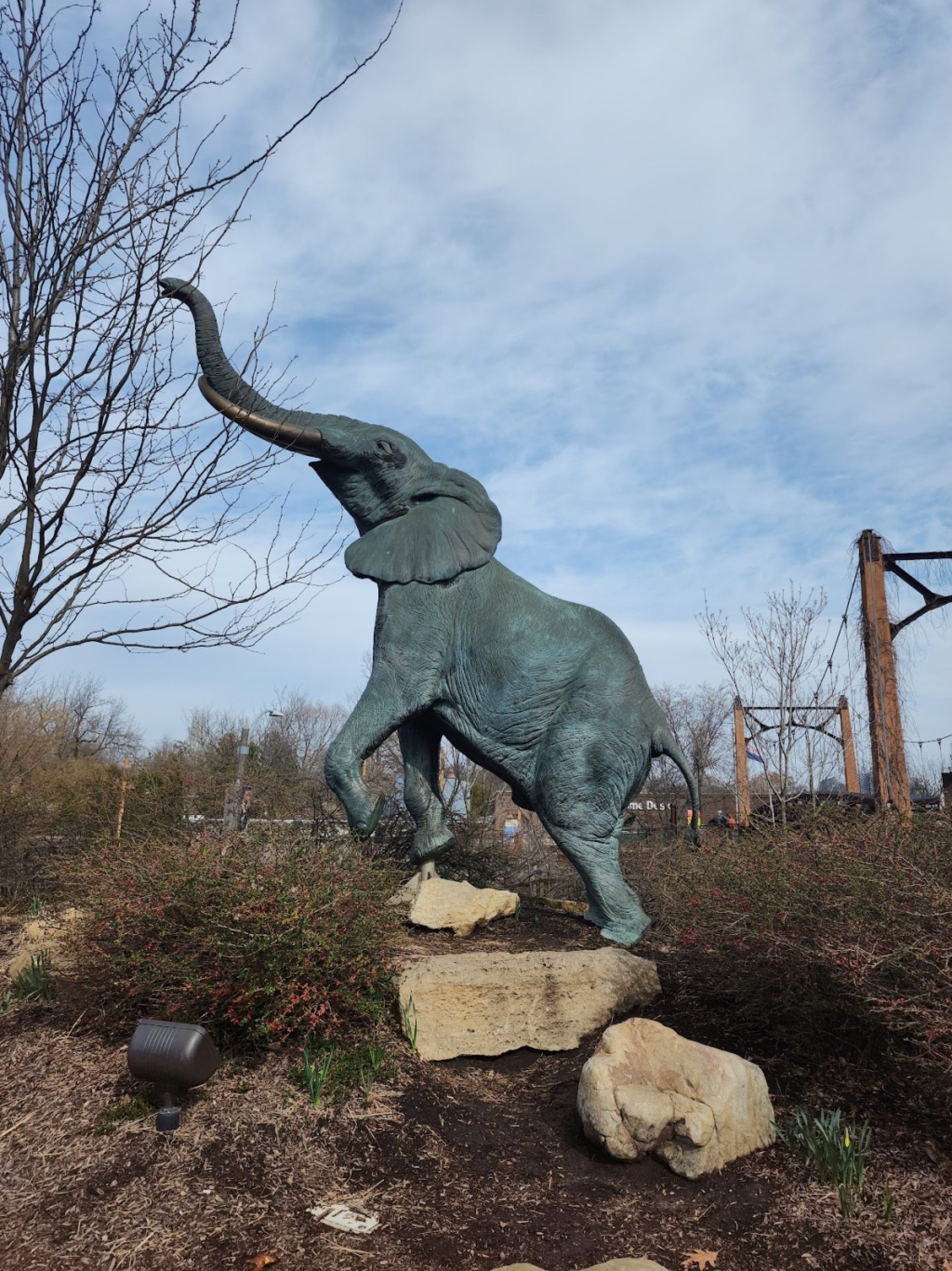 Saint Louis Zoo: Information, Tickets and Reviews