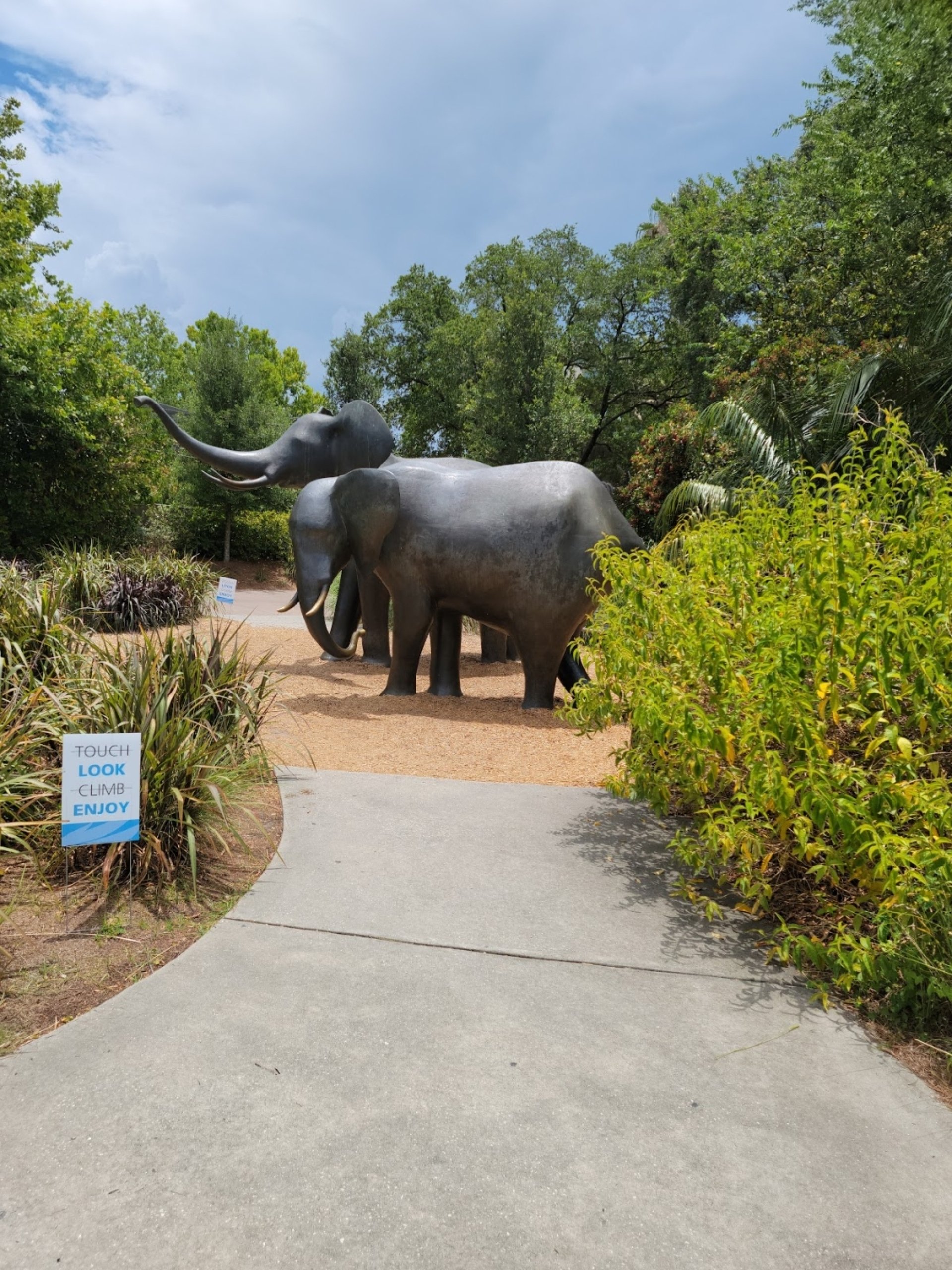 Jacksonville Zoo and Botanical Gardens: Information, Tickets and Reviews