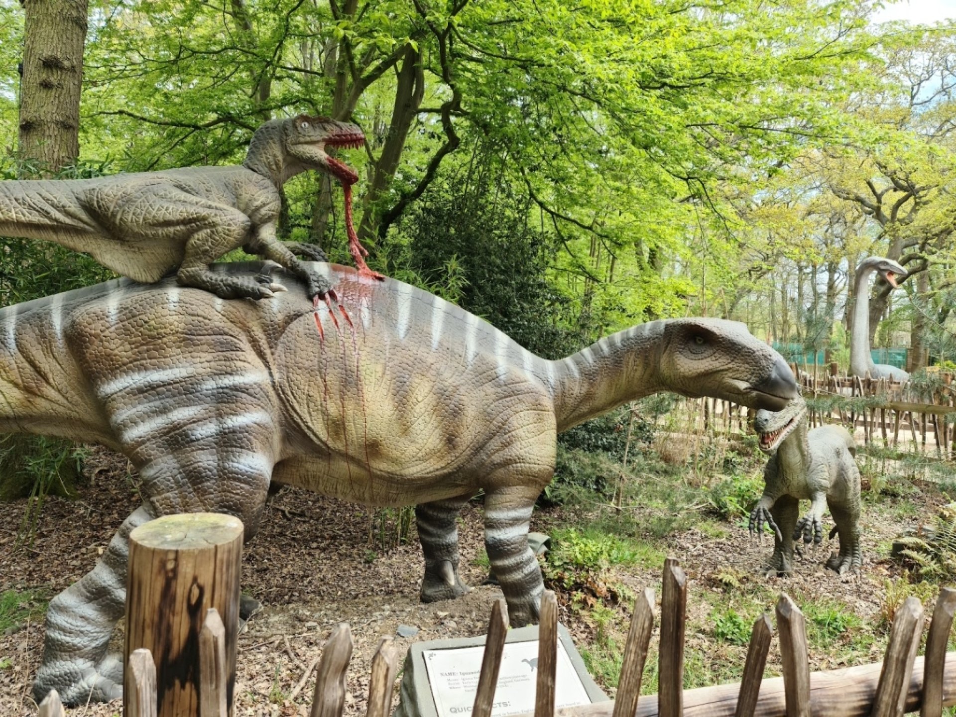 Hertfordshire Zoo Broxbourne Information Tickets And Reviews Hertfordshire Zoo Broxbourne Information Tickets And Reviews