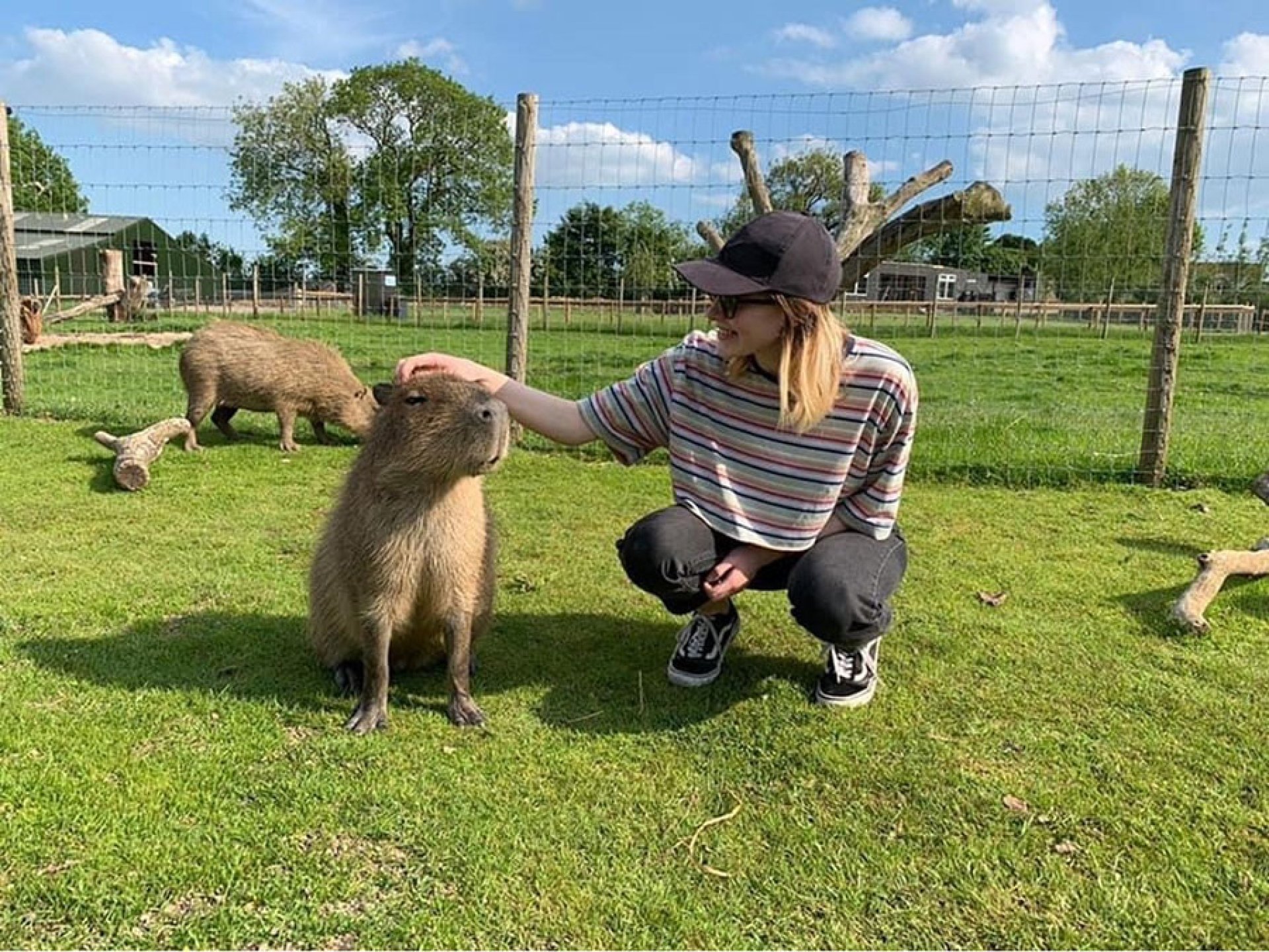 Chew Valley Animal Park Bristol Information Tickets And Reviews Chew Valley Animal Park Bristol Information Tickets And Reviews