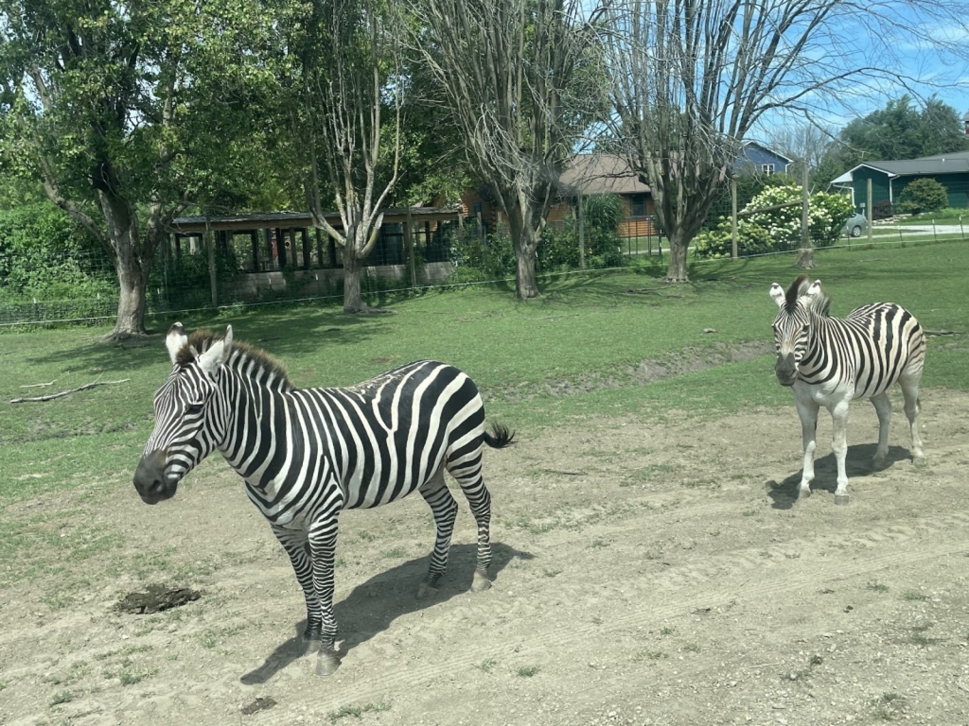 Aikman Wildlife Adventure, Arcola, IL: Information, Tickets and Reviews