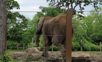 Kansas City Zoo & Aquarium: Information, Tickets and Reviews