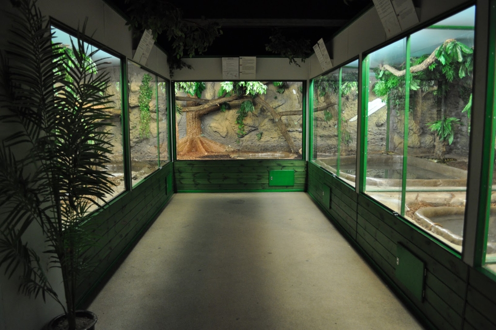 Indoor Zoo Allgu