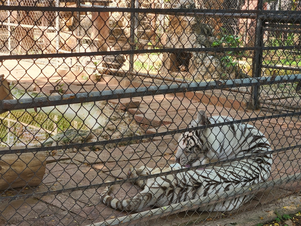 Centenario Zoo, Mérida: Information, Tickets and Reviews